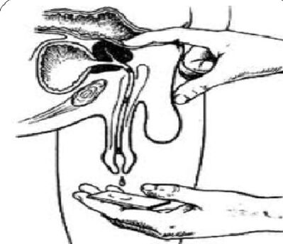 Massage to get prostate gland tasks